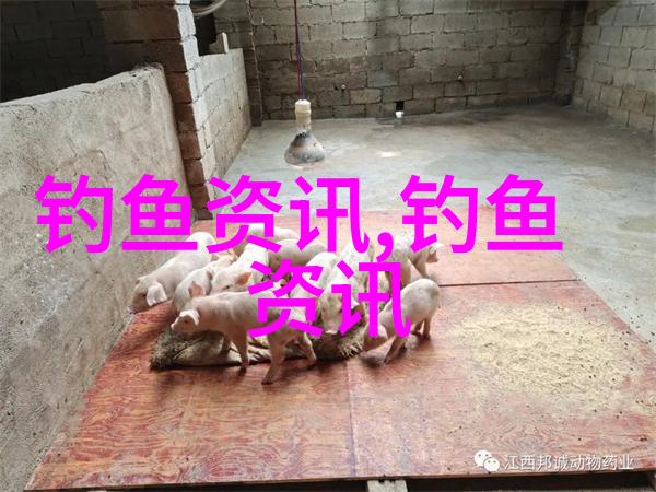 纳米比亚渔业部长设定鱼类产品消费目标