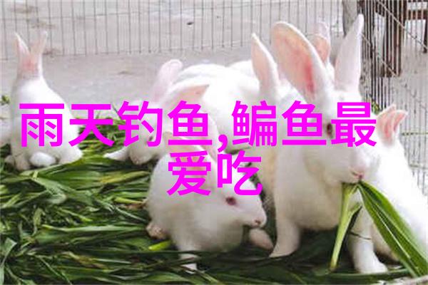 钓草鱼什么食最好