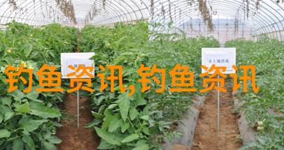 马耳他2016年养殖渔业产值660万欧元