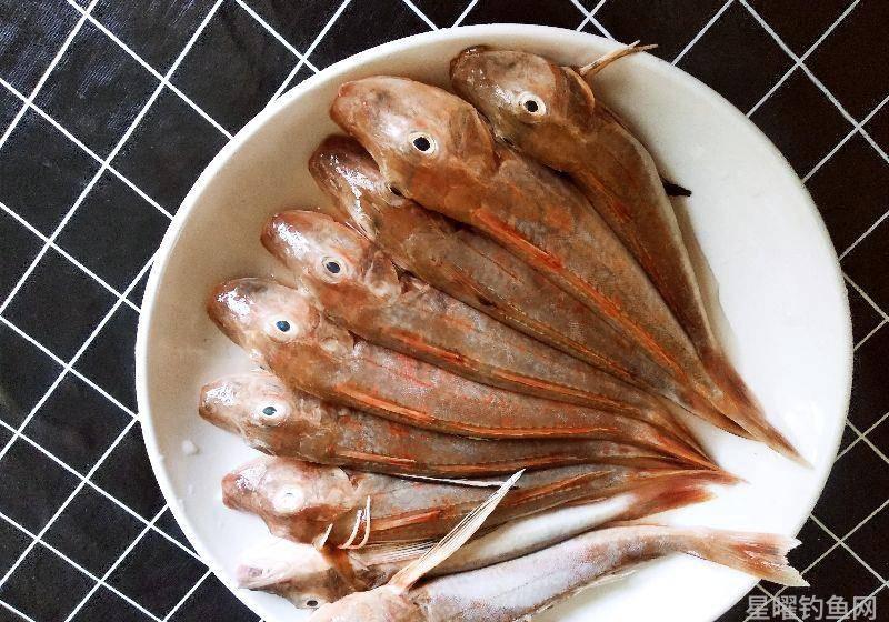 红头鱼5元3斤 老婆除了头大刺硬之外肉也很好吃可以经常买